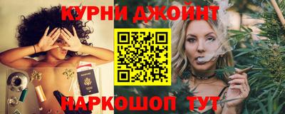 гидра Гай