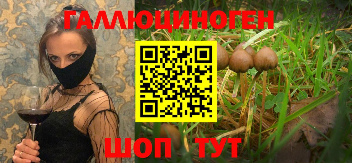 Галлюциногенные грибы Psilocybine cubensis  Галлюциногенные грибы MAGIC MUSHROOMS  Минеральные Воды  цена   Вход с VPN 
